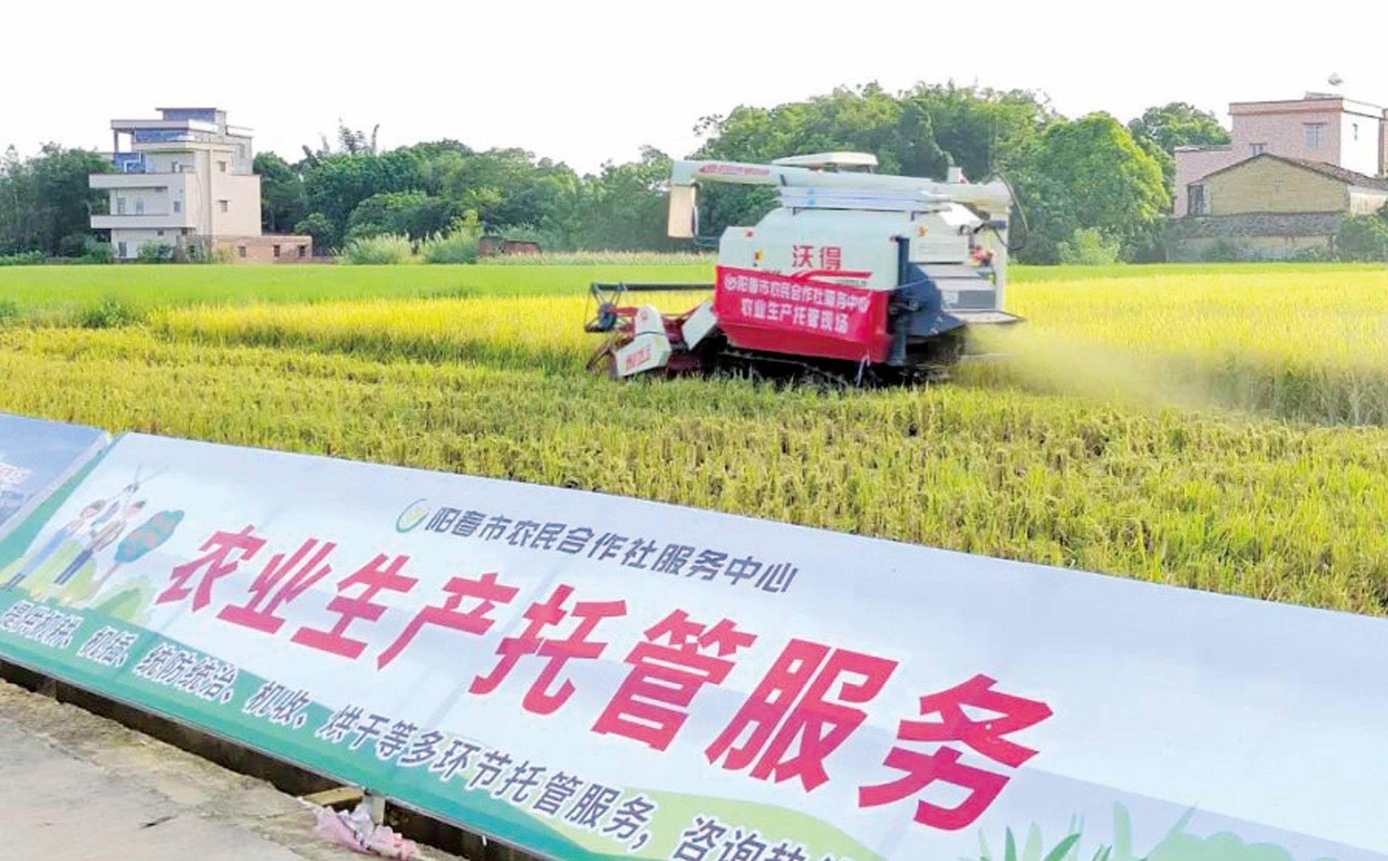 农资需求加速集中！ 农服带领农资市场进入真正的大户时代